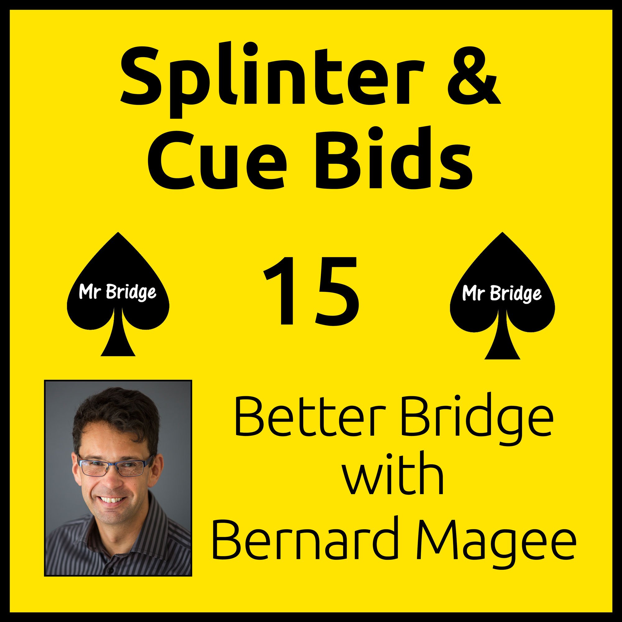 Streaming DVD 15 - Splinters & Cue Bids