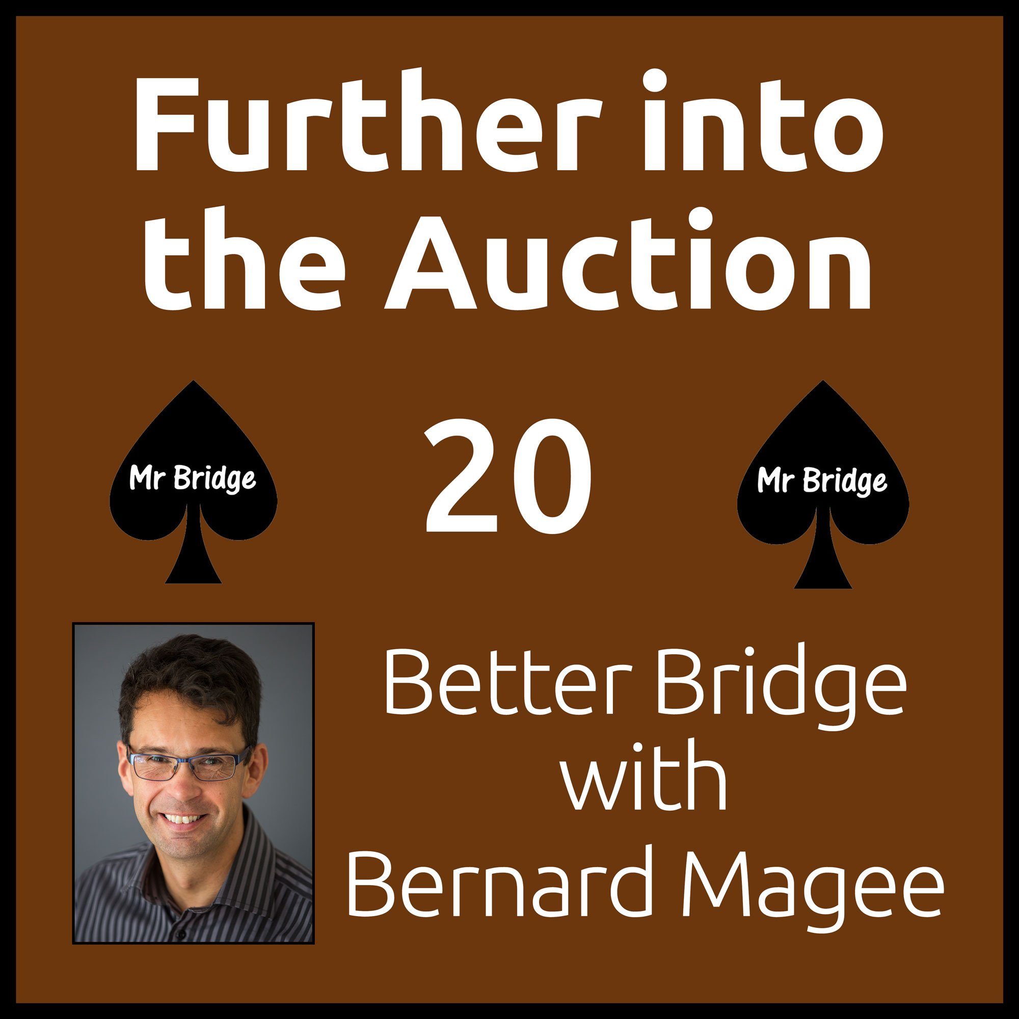 Streaming DVD 20 - Further into the Auction